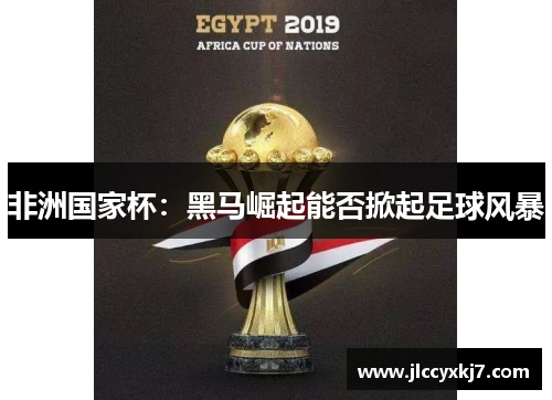 非洲国家杯：黑马崛起能否掀起足球风暴